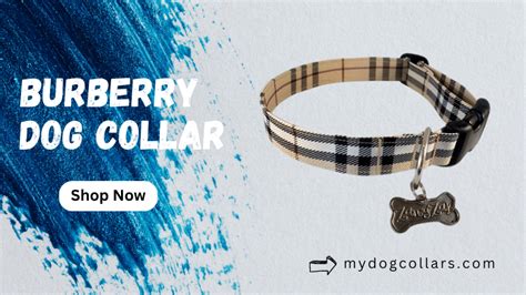 burberry blanket jacket|burberry dog collars and leashes.